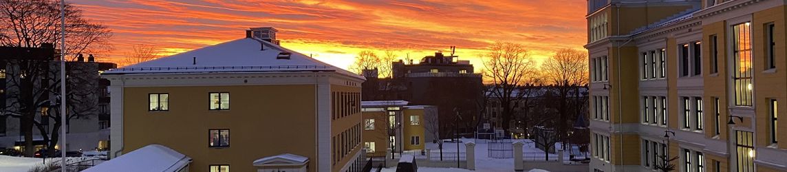 en snødekt gate med bygninger og trær