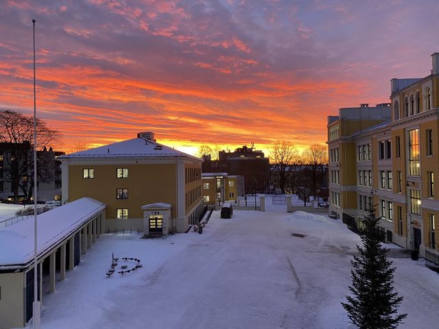 en snødekt gate med bygninger og trær