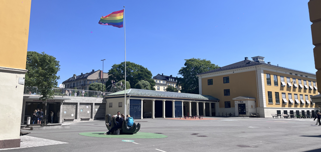 et flagg som vaier i luften