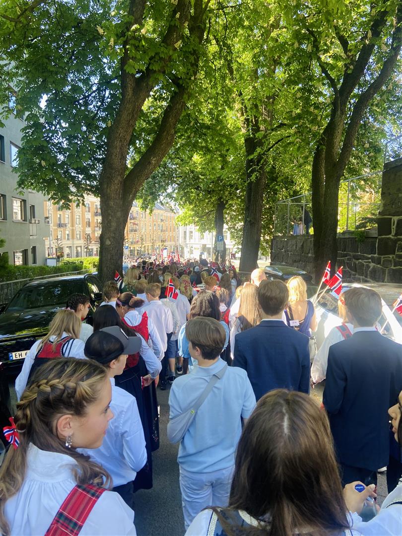 IMG_6720 (Large).jpeg