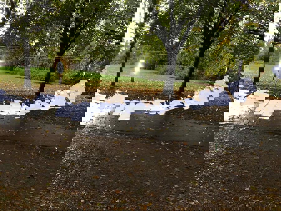 Elvelangs Frognerelven