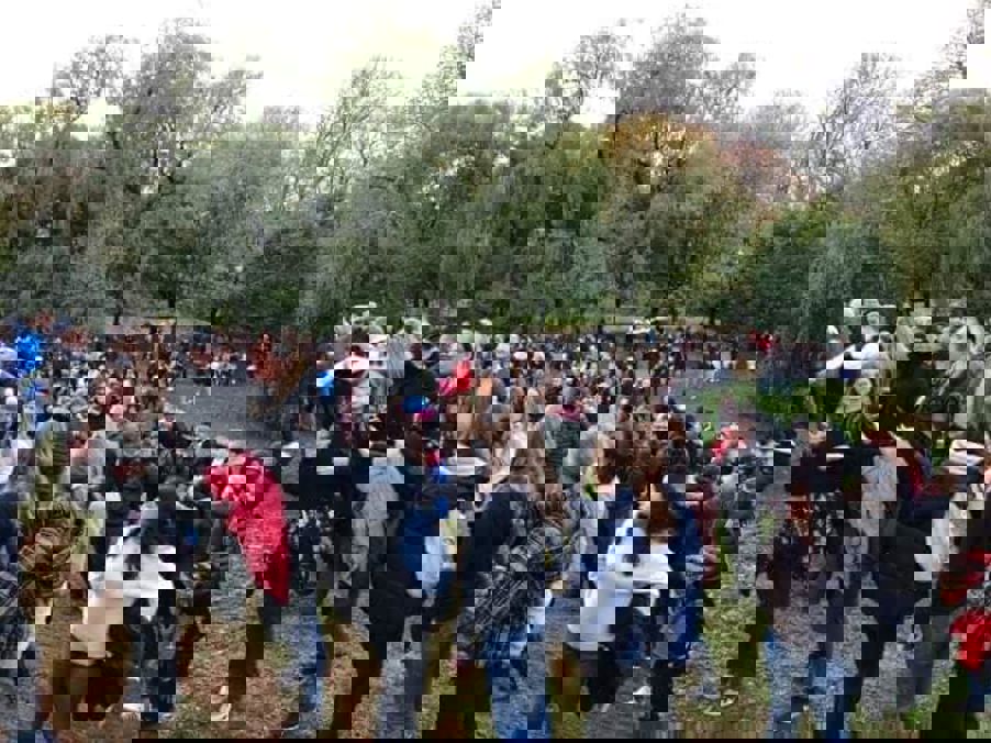 Elvelangs Frognerelven