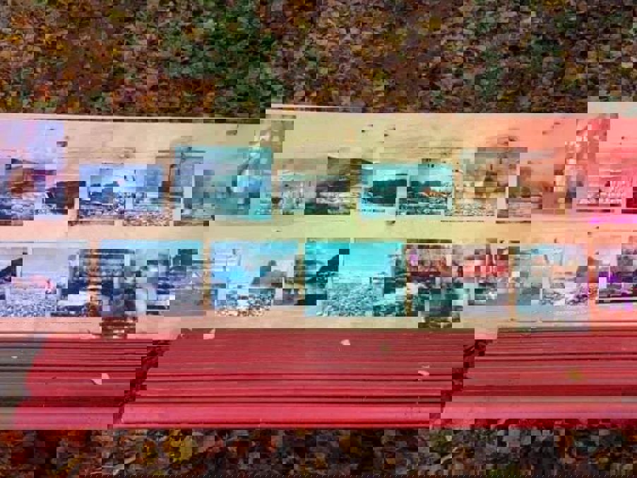 Elvelangs Frognerelven