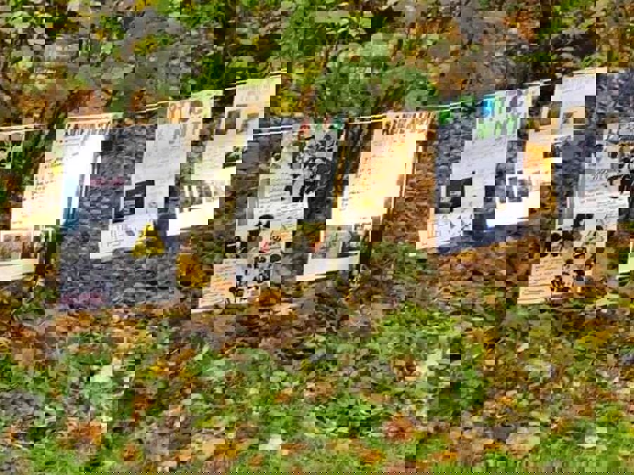 Elvelangs Frognerelven