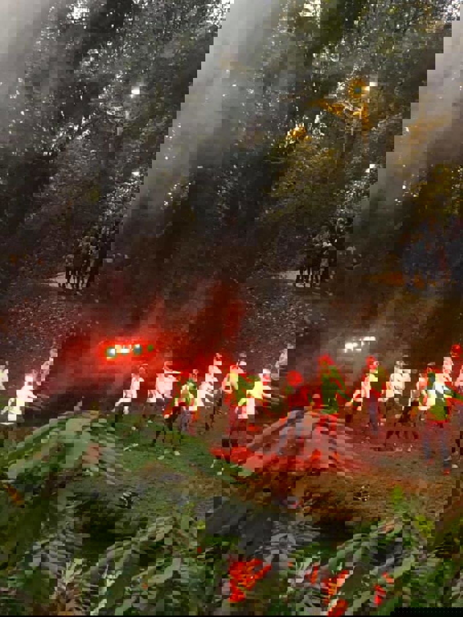 Elvelangs Frognerelven