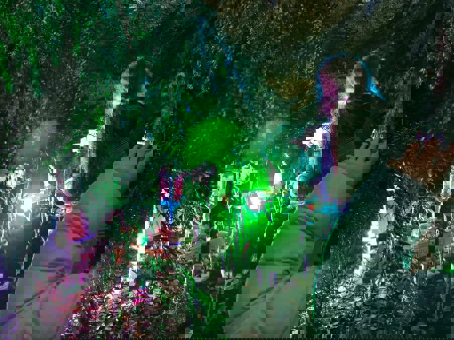 Elvelangs Frognerelven