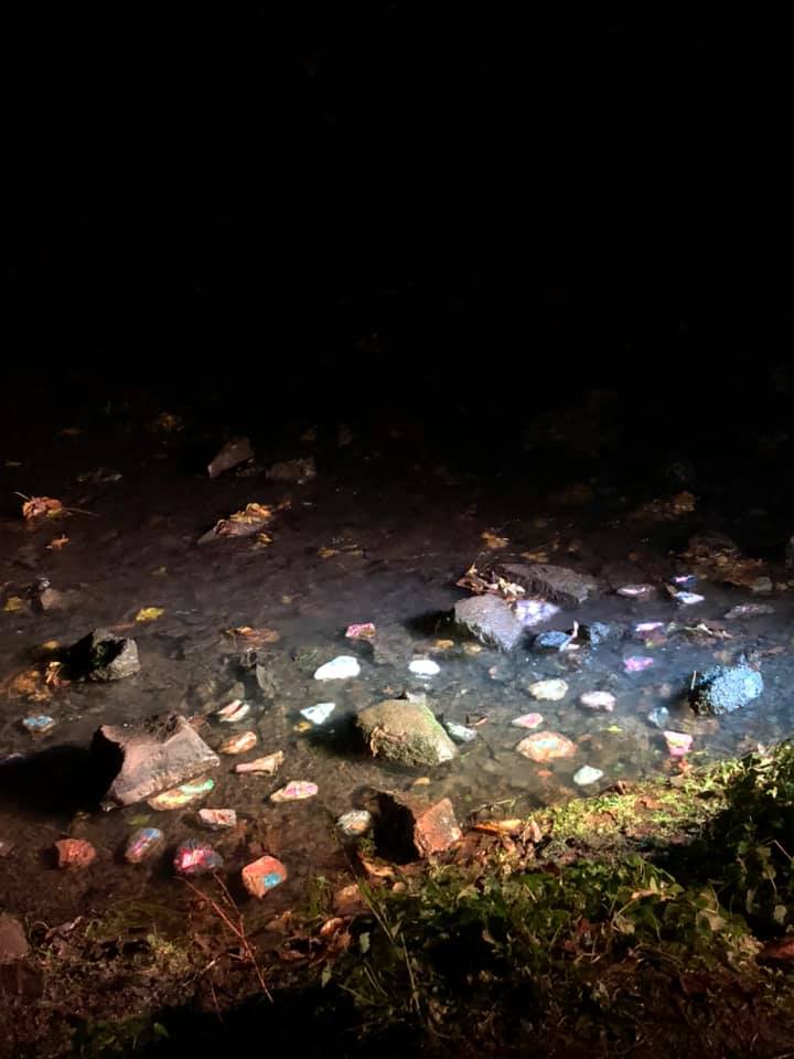 Elvelangs Frognerelven