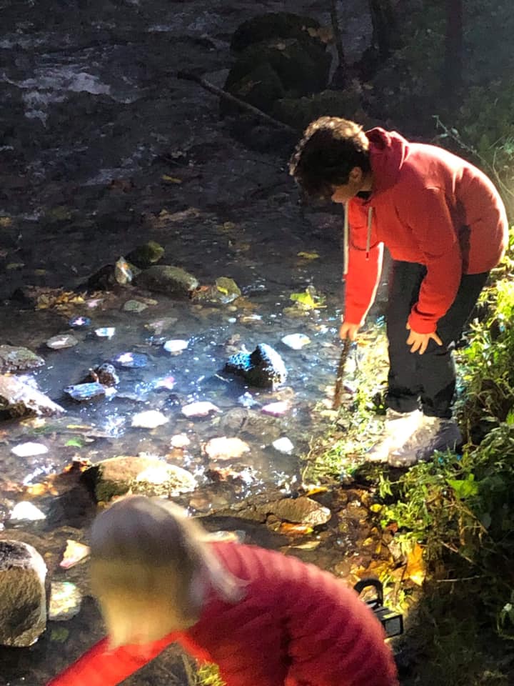 Elvelangs Frognerelven