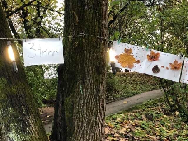 Elvelangs Frognerelven