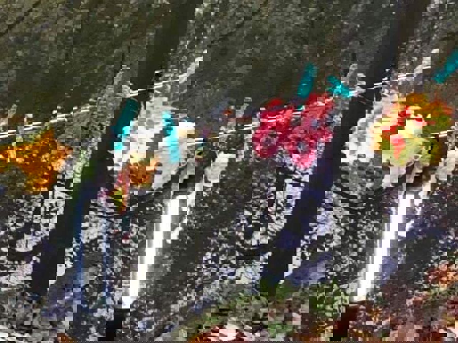 Elvelangs Frognerelven