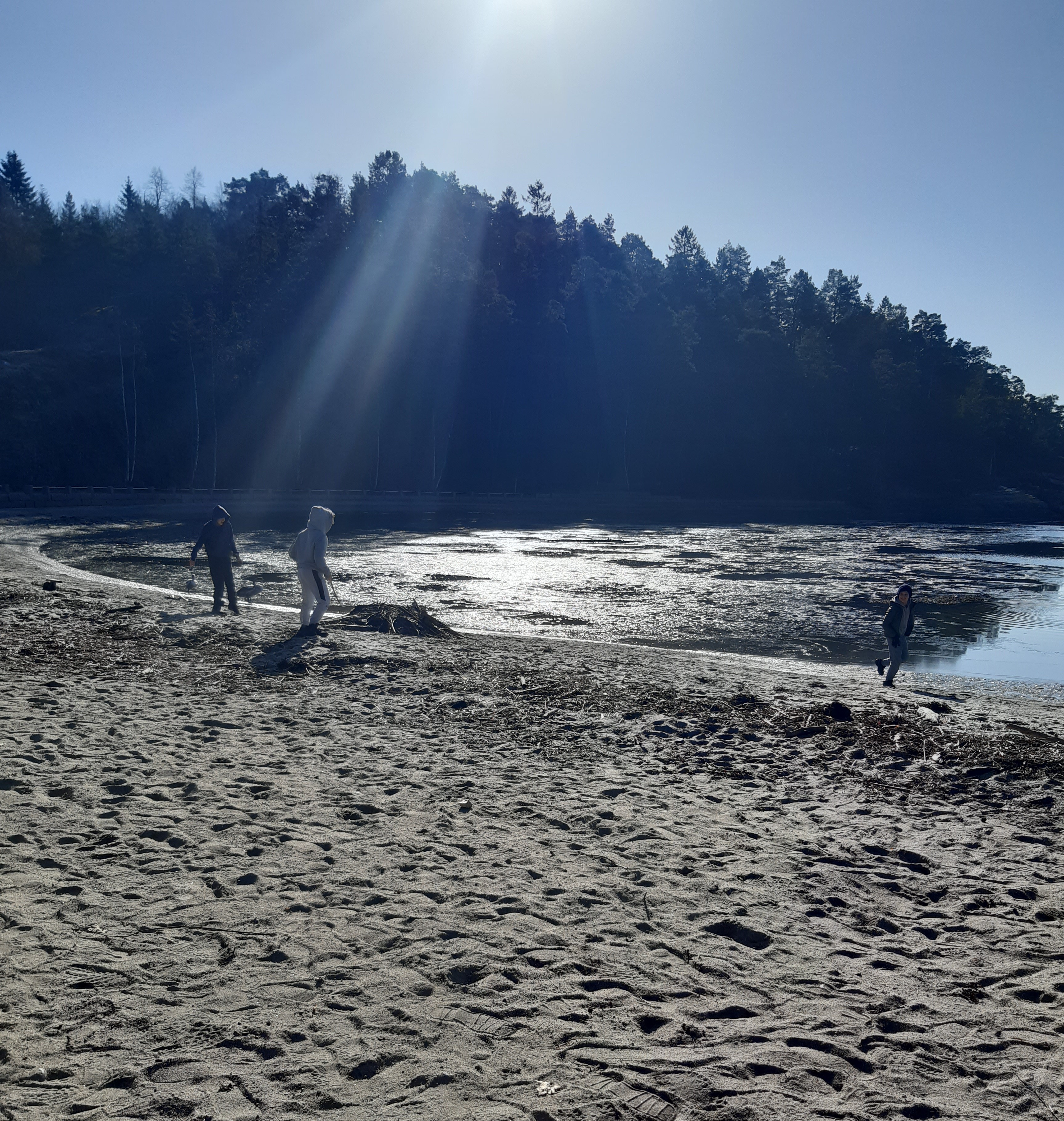 a group of people on a beach