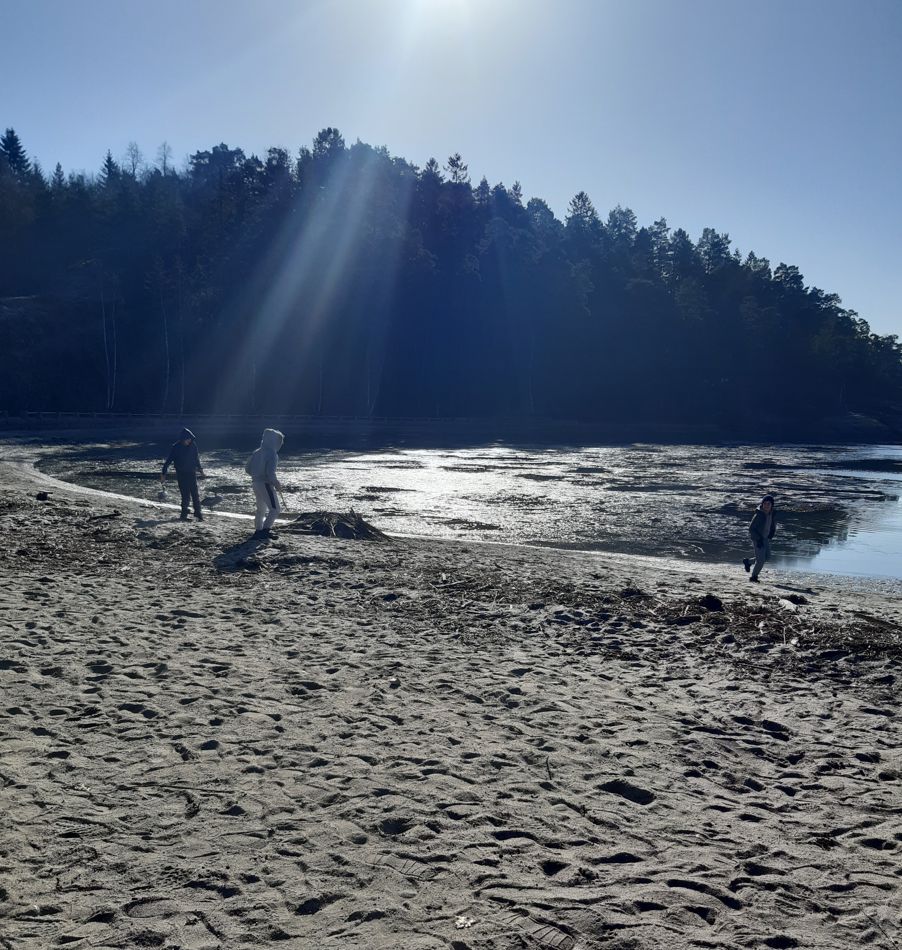 a group of people on a beach