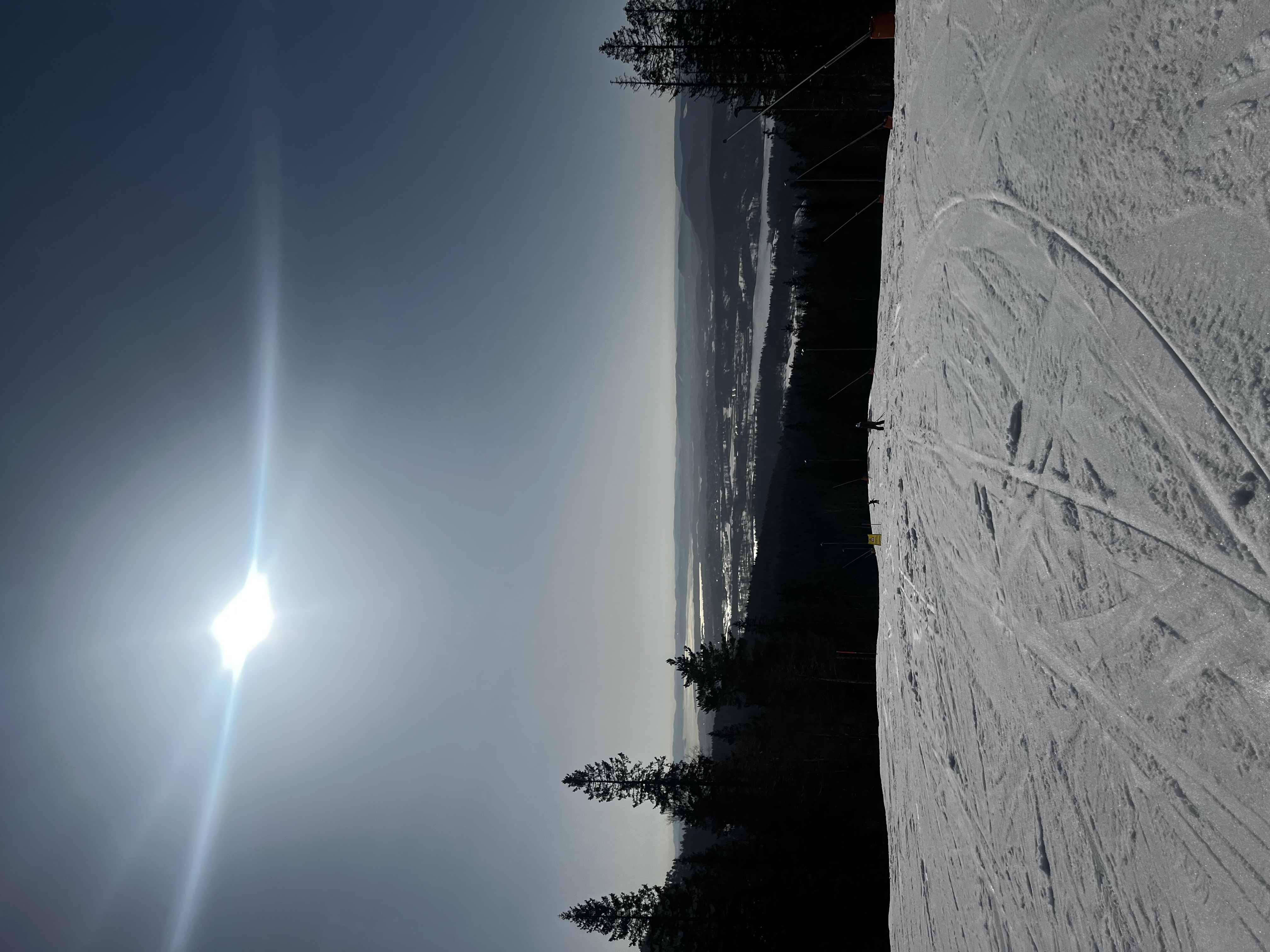 et snødekt landskap med trær og en blå himmel