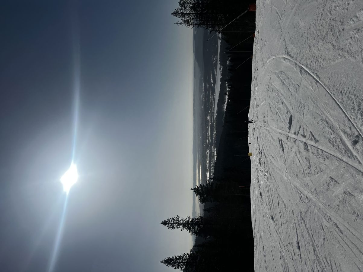 et snødekt landskap med trær og en blå himmel