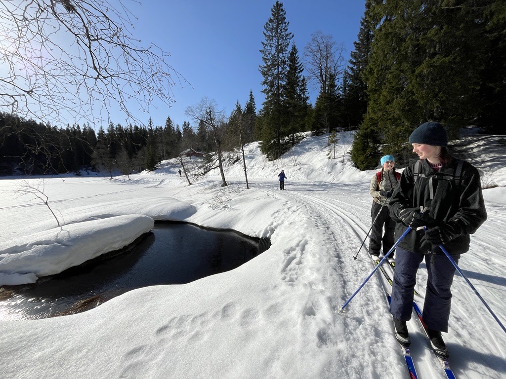 En gruppe skiløpere på et snødekt fjell